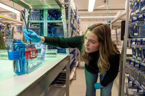 Portrait of NEBRASKA: Science in Her Words - Nebraska INBRE Scholar Rachel Bedford's Path from Science Research to Communication