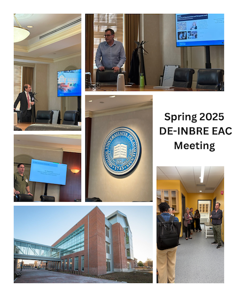 5Aac7063 D9Df 7E4E 35C1 Fea114F53D78