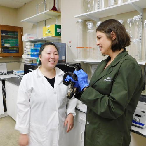 Lori Neuman Lee Snakes