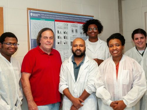 Michael Gitcho And Lab