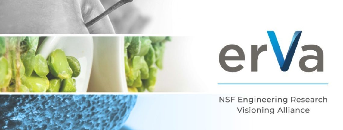 Erva Nutrition Banner