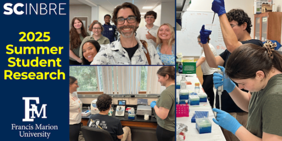 Portrait of SOUTH CAROLINA: 2025 Student Summer Research Update
