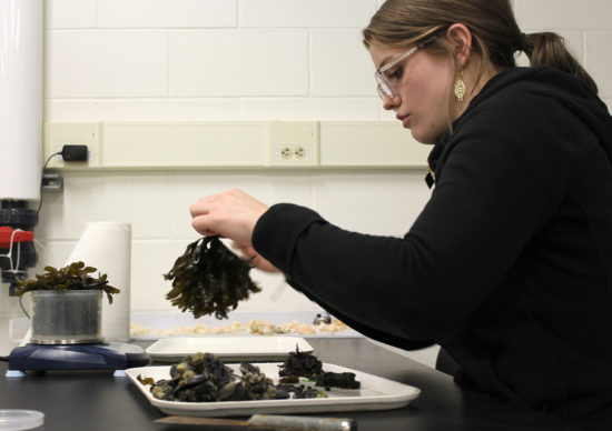 Portrait of ALASKA: Lena’s Labors Logged