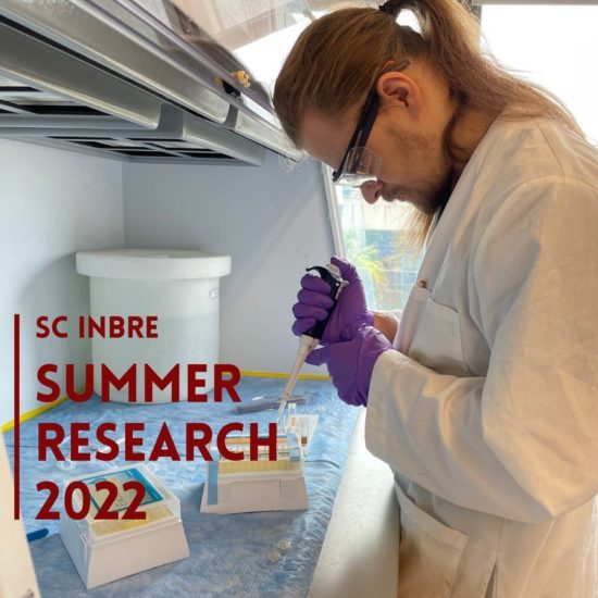 Portrait of SOUTH CAROLINA: Jeff Luecken, SC INBRE summer scholar