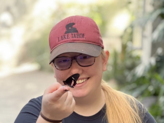 Portrait of NEVADA: In search of the missing link