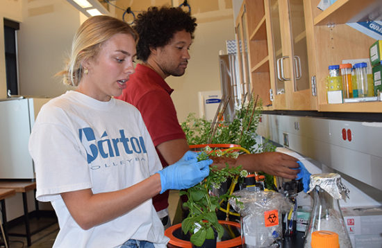 Portrait of NEBRASKA: NESTIP intern funding boosts Nebraskan’s startup