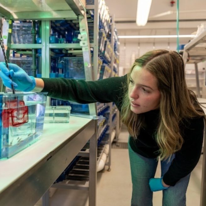 Portrait of NEBRASKA: Science in Her Words - Nebraska INBRE Scholar Rachel Bedford's Path from Science Research to Communication