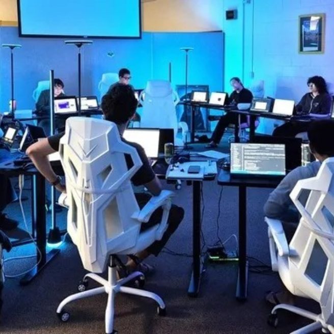 Portrait of HAWAI'I: UH Hilo students test AI in nature