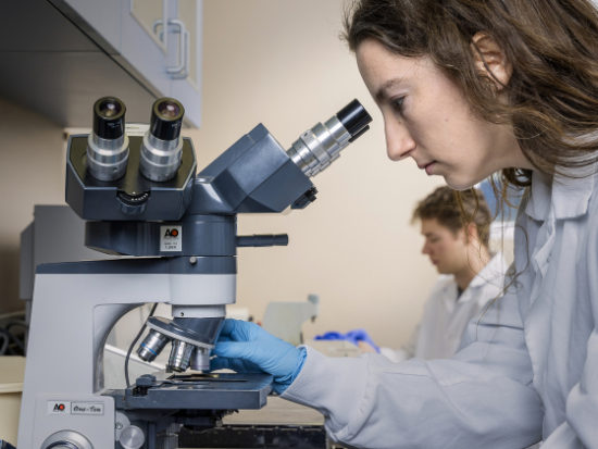 19Cdd79E Ad68 174B 5Bab 8D7D8Faf11Ab