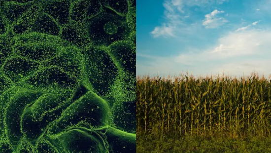 3A2D4A8B 0D92 653B 67Ef 423Fc88965Ec