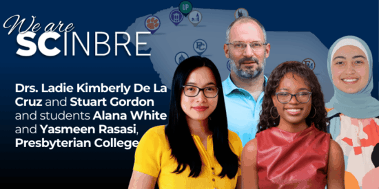 4220C808 Ad1C Adff Ddf3 113043698F7F