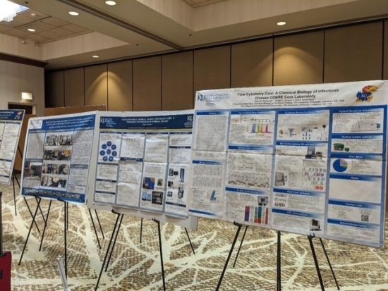 44D1F7E5 Ba63 F6F4 7864 40766A34Ee57