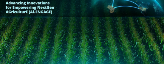 470F55De 8E50 85F2 1D32 C70C4221D863