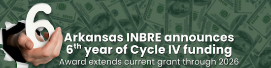 5Ae039D4 8E3B 58F6 9454 8B8B64Fb5E8E