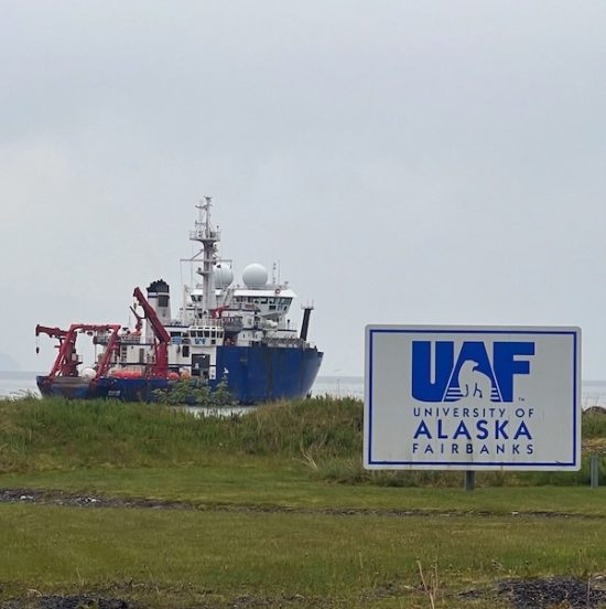 60B264Ef Fdf9 8Afc A9Ad 156Af71534E8