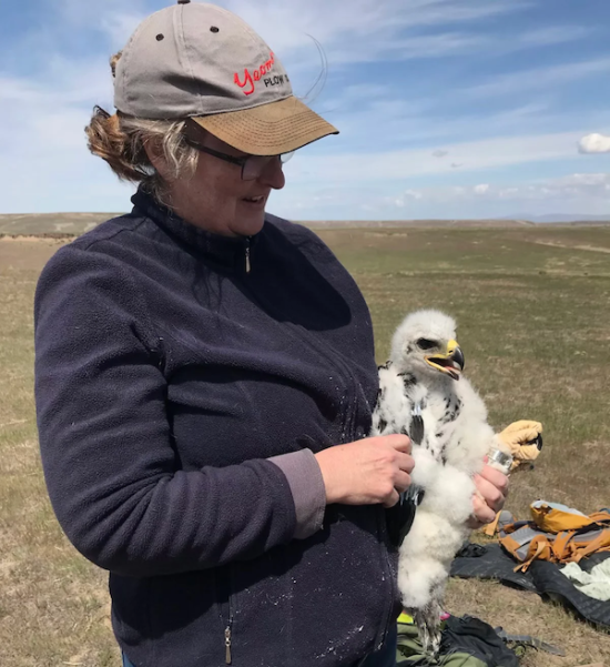 69345558 09Cc 1424 Bddb 18Efe8849725