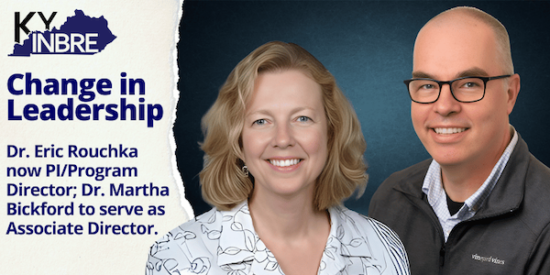 7390Bb70 56D0 9961 66A2 A51714Deef11