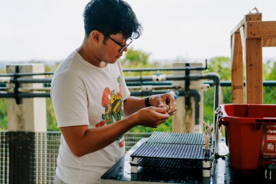 7E87B7A5 3B4E 2D83 9B81 7Ebe1Dc48177