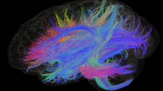 Christine Charvet J Neurosci