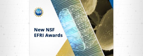 Efri Award White Beta News Banner 1200X468