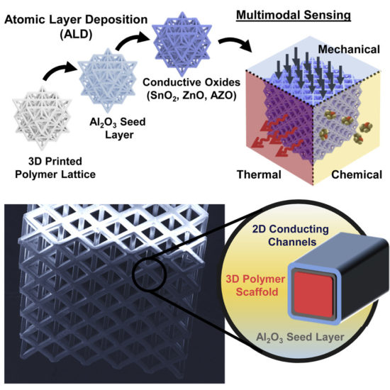 Huddy Scheideler Image