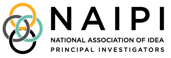 Naipi Logo Full 247H 01