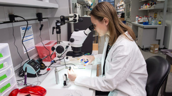 Rainbo Hultman At Microscope