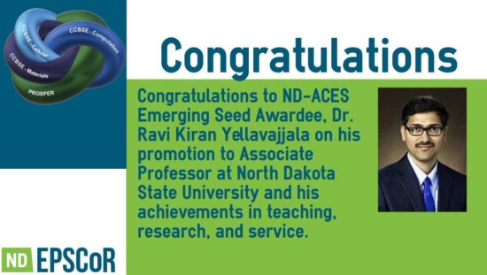 Ravi Kiran Yellavajjala