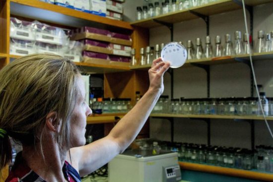 Sally Molloy 1024X683