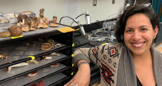 Screen Shot 2021 07 28 At 10 13 14 Pm