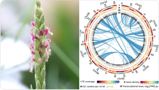 Screen Shot 2022 12 19 At 12 44 22 Pm