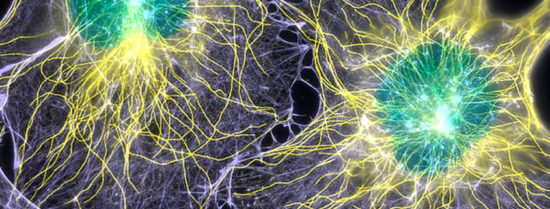 Uah Medical Ai 845X321