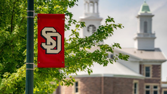Usd Banner