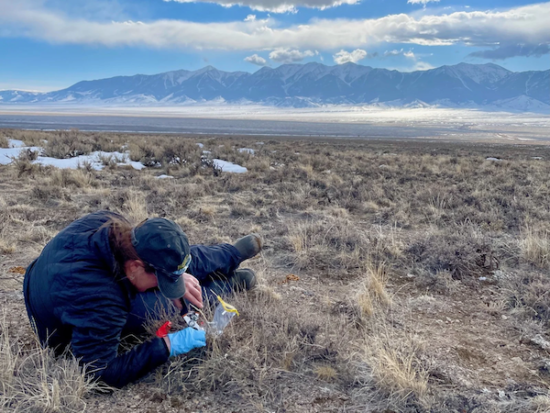 Bfa4D720 Ba23 6000 B179 5A5Cb4111Cec