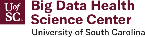 Big Data Center Logo