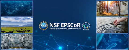 C2Ce7D43 689E 8Ff2 12A9 903F06Ef1372