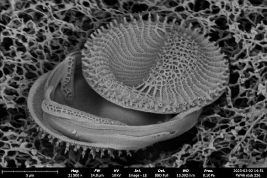 C700Bac2 E1F1 2Eca 8C66 2Ce073667703