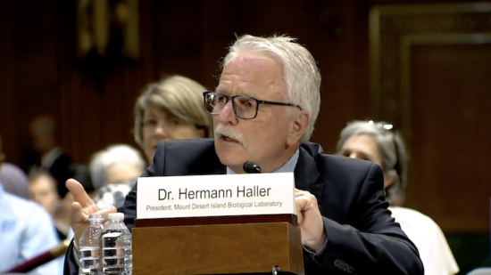 D884C08F 23Bf 55D6 485D 84Bf7A91150A