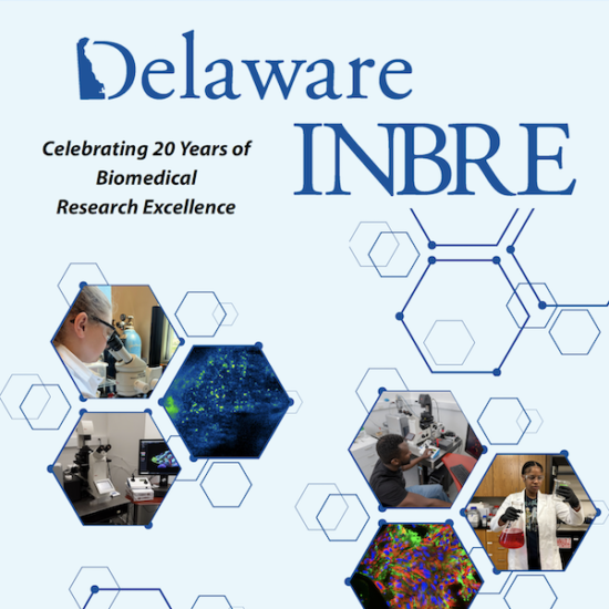 De Inbre Magazine Cover