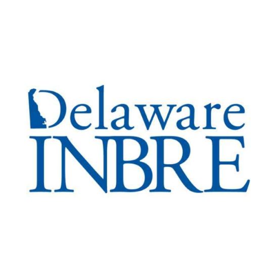 De Inbre Square