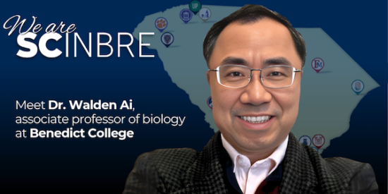 F5C5C43D C56F 9B21 17Aa Ef3Ff9838641