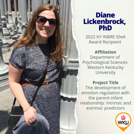 Idea Diane Lickenbrock