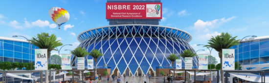 Nisbre Banner Cropped