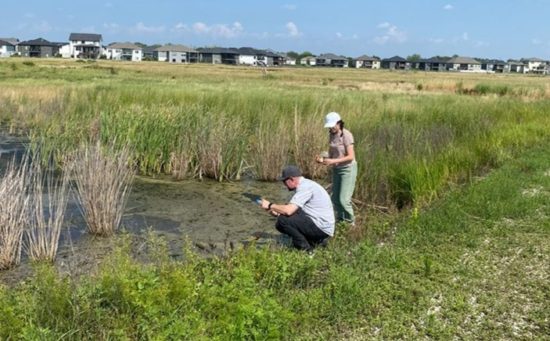 Smallcollege Bu Kyndt Field Crop