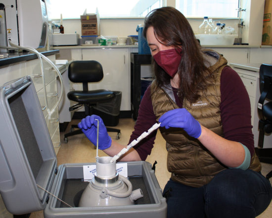 Uaf Gut Bacteria