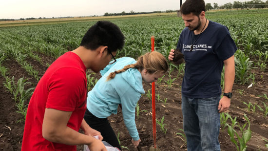 Usda Nifa 20220218 Crop To Food Nt