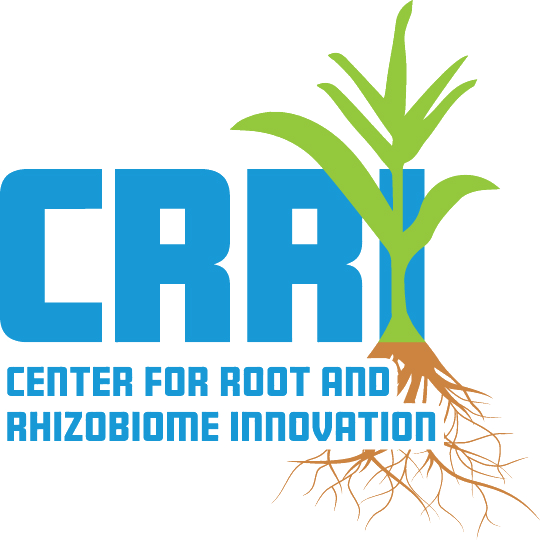 Ccri Logo