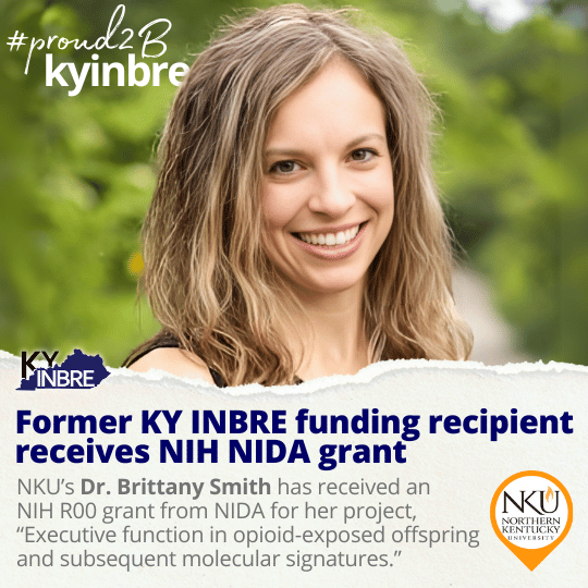 Cd740416 3679 18F4 Ec5A 6936C98Fed1C