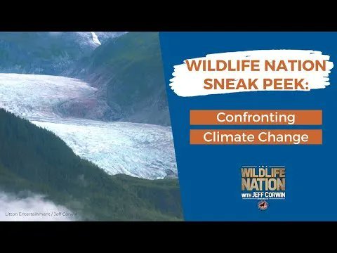 Hood Fellman Wildlife Nation