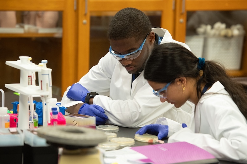 Portrait of MISSISSIPPI: Former Mississippi INBRE Scholar Helps Discover New Method to Model Body Fat Growth